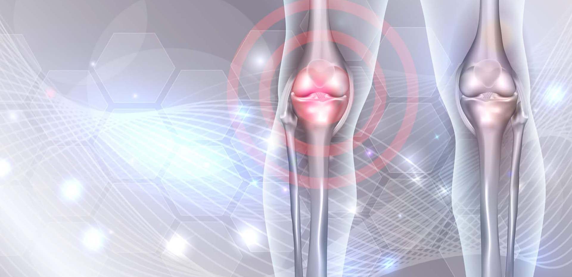 hip-knee3